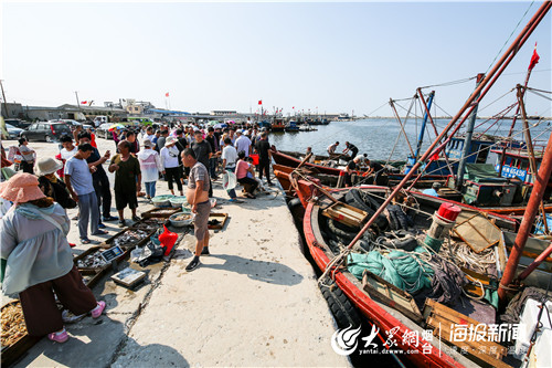 莱州海庙港渔船满载而归市民翘首以盼迎新鲜海味