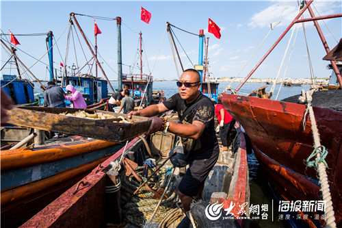 莱州海庙港渔船满载而归 市民翘首以盼迎新鲜"海味"