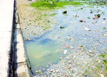 说,西海岸广场风景优美,来游玩的市民和游客非常多,有这么几处污水口