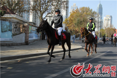 新奇!烟台市区出现马术骑行队 徜徉街头悠闲自得