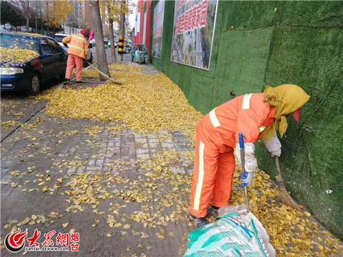 一天清扫落叶超百吨!烟台环卫工迎来最累季节