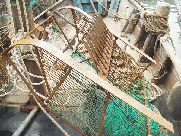 蛤蜊捕捞铁耙子图片