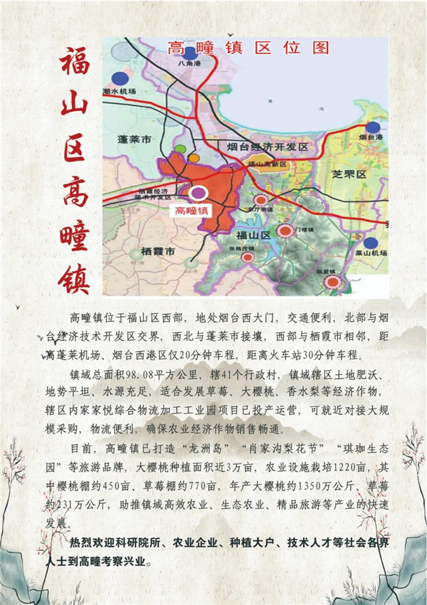 福山区高疃镇地图图片