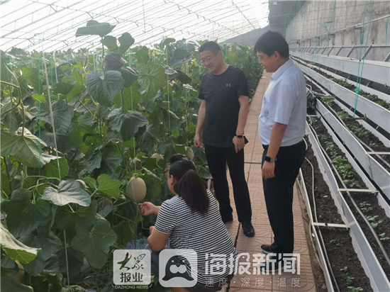 得知蓬莱南王街道杏吕村40亩成熟的桃子滞销后,烟台电视台和烟台银行