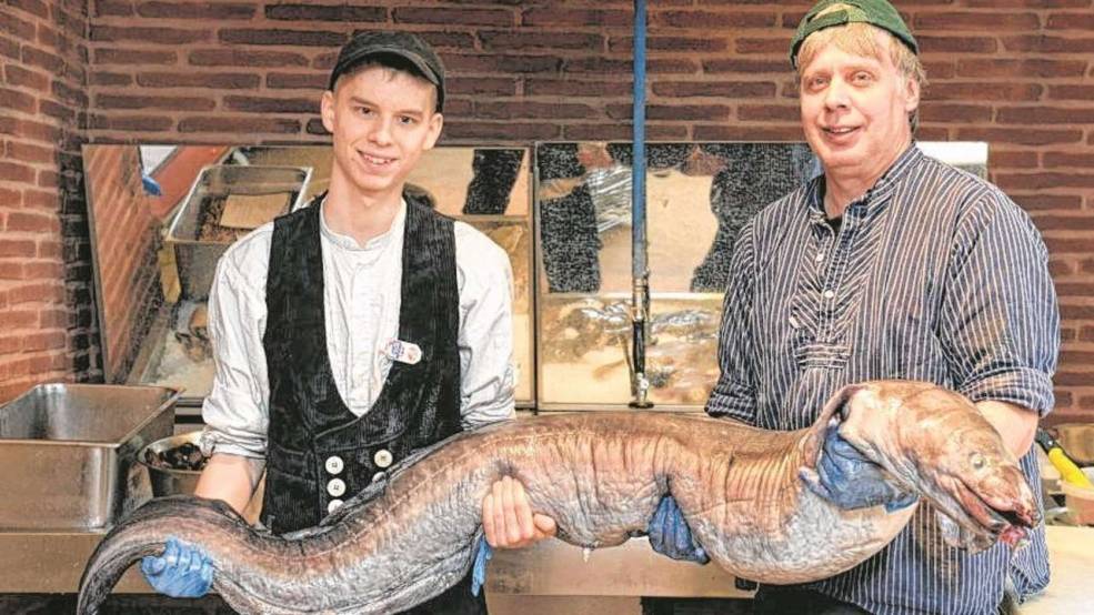 德国渔民捕获世界最大鳗鱼 长24米重75公斤