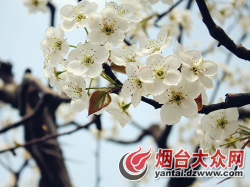 点击浏览下一张